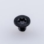 Custom Torx Screws