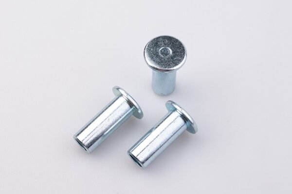 Custom semi-tubular rivets showing the blind hole