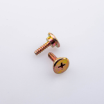 Custom Step Screws