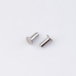 Stainless Steel Solid Rivets